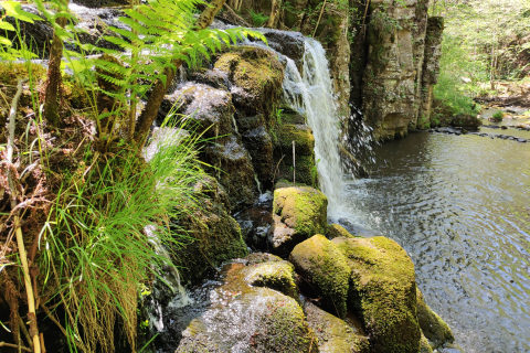 Cascade de Courbières - Pradiers