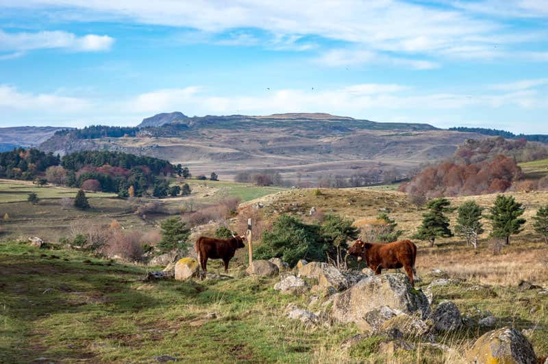 Plateau de Chastel sur Murat