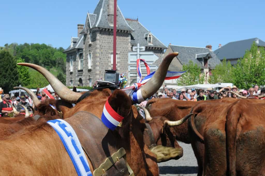 Fête de l'estive