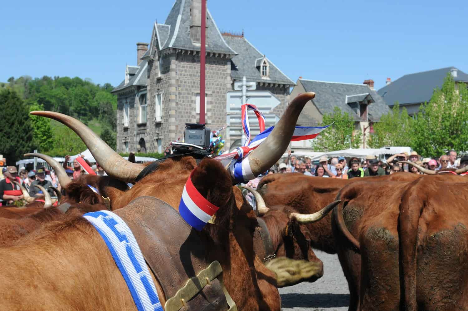 Fête de l'estive