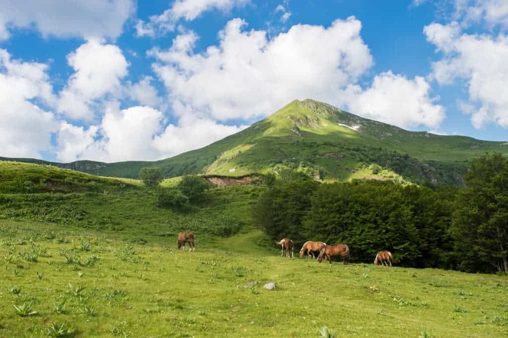 Le Puy Mary