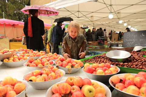 Foire aux pommes - Massiac