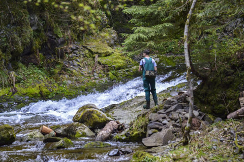 Rivière Alagnon