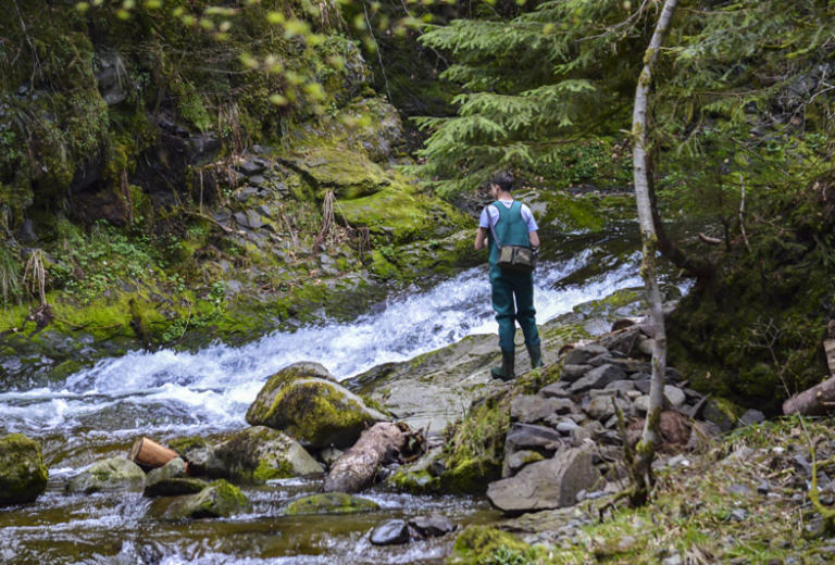 Rivière Alagnon