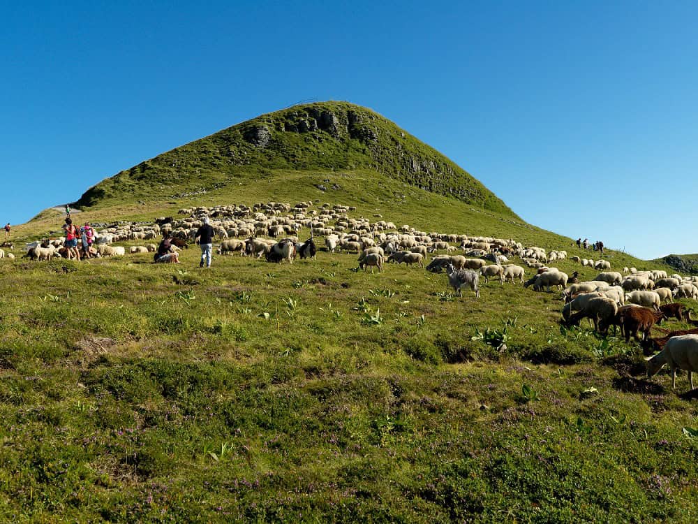Plomb du Cantal