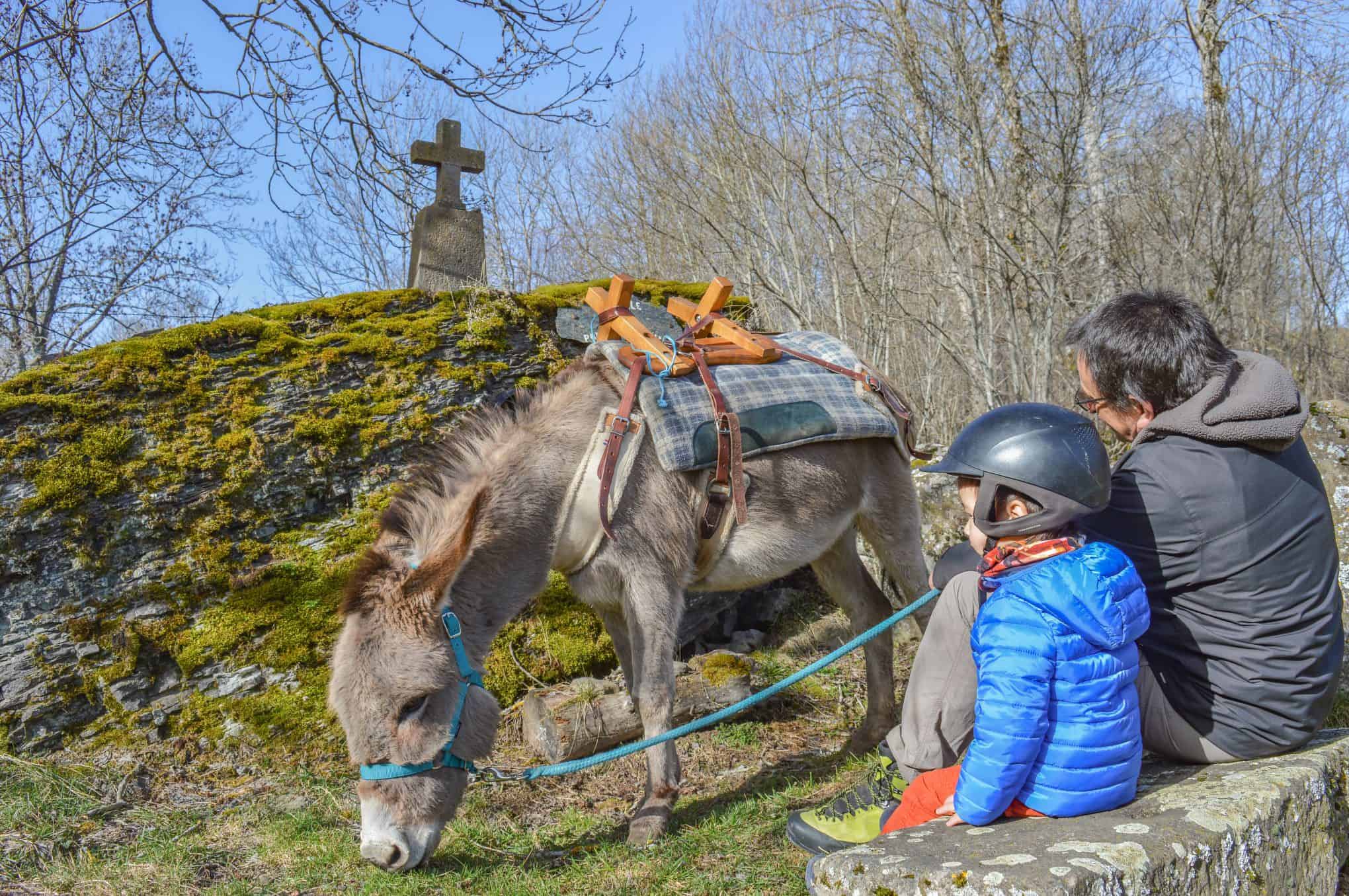 Randonnée à dos d'âne