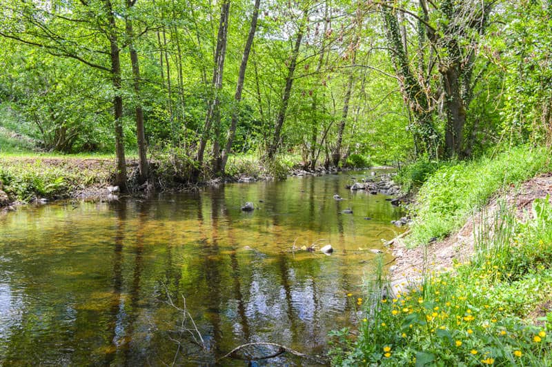 Vallée de l'arcueil