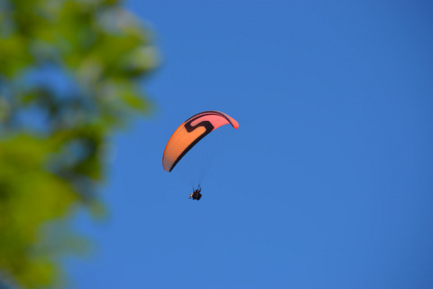 Parapente