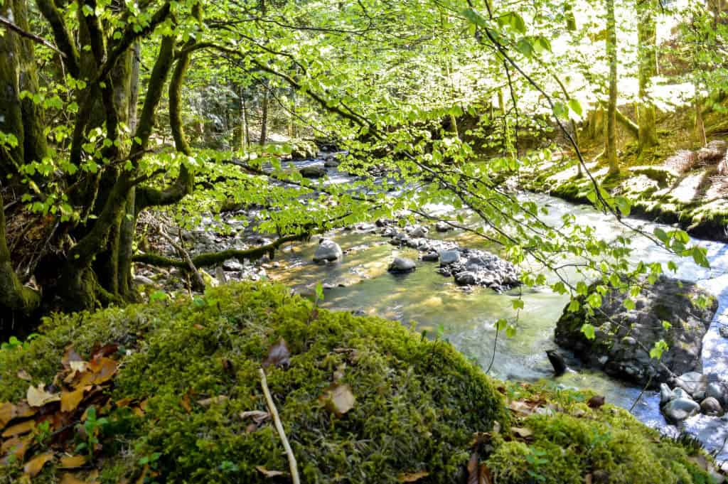 Sentier des Gorges de l'Alagnon