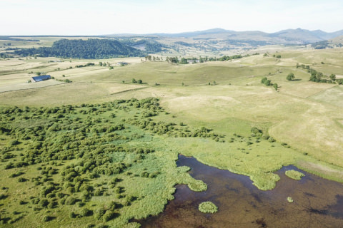 Tourbières du Jolan et de la Gazelle