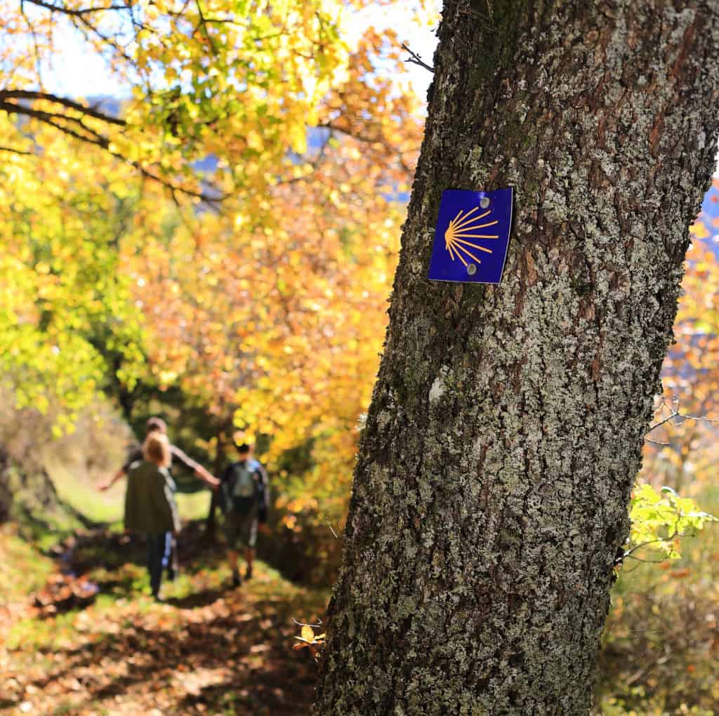 Via Arverna, un chemin vers Compostelle