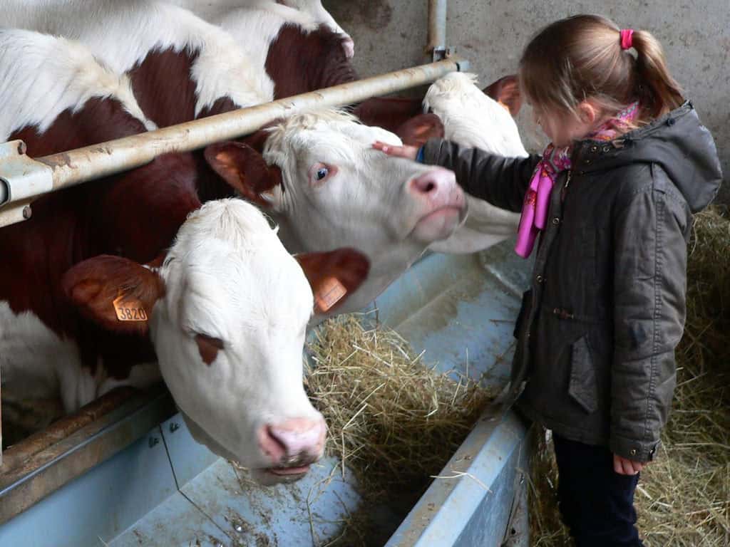 Visites de ferme
