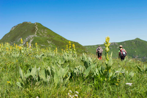 Puy Mary - Grand Site de France Volcan Cantal