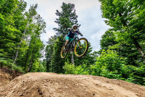 Bike Park BICICLETA DE DESCENSO