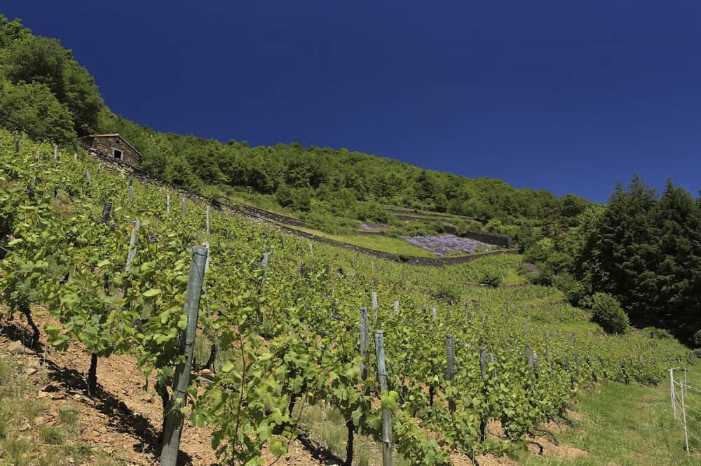 Les Palhàs de Molompize