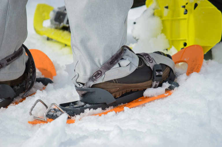 Les sorties neige encadrées 