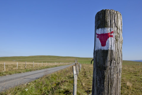 The Tour des Vaches Rouges ITINERARY ON THE CEZALLIER PLATEAUX