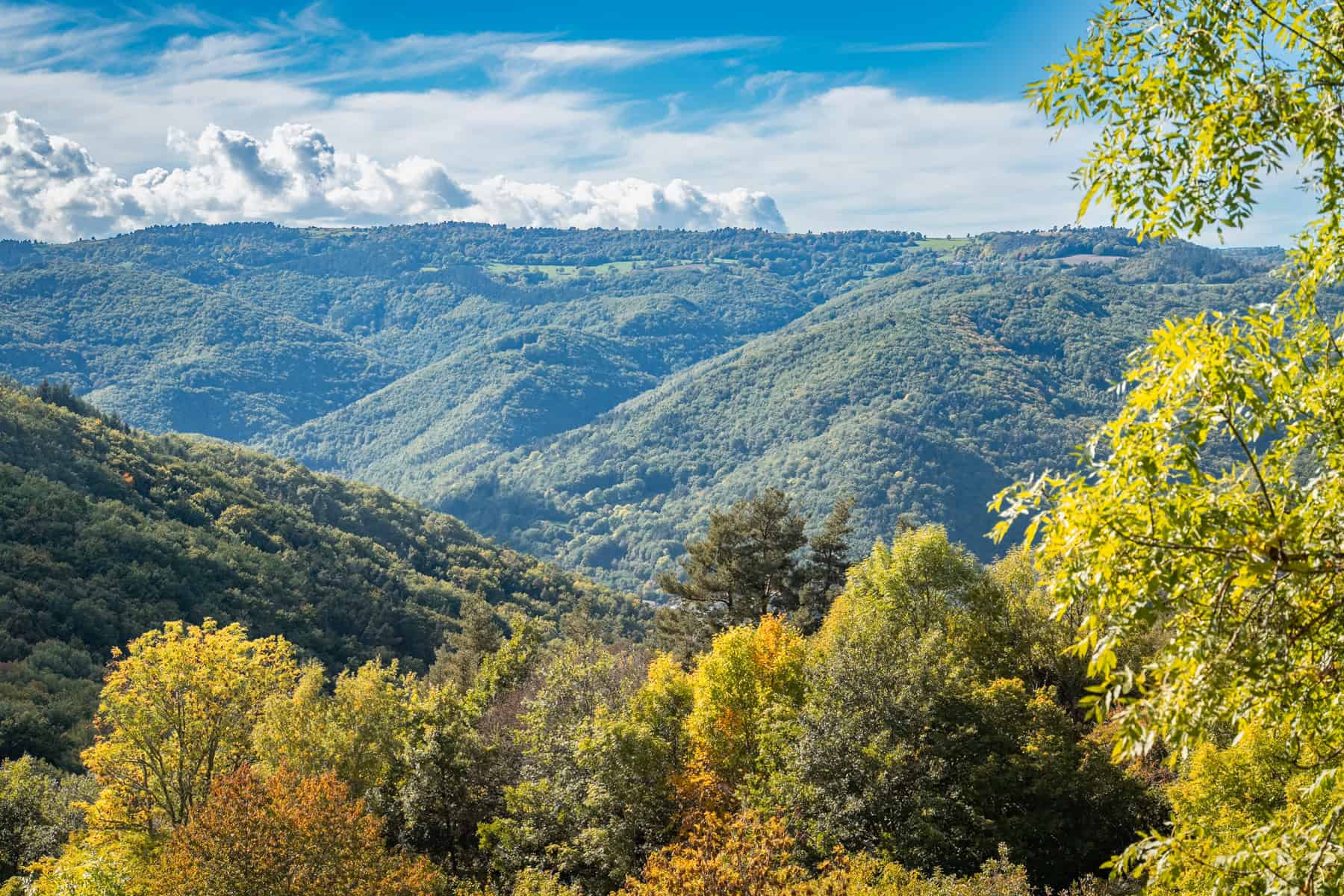 Paysage de montagnes et forêts en automne dans les Hautes Terres.
