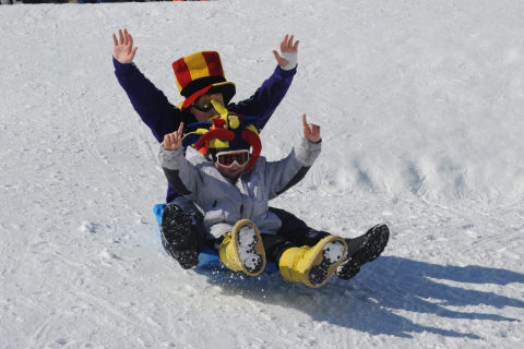 Luge
