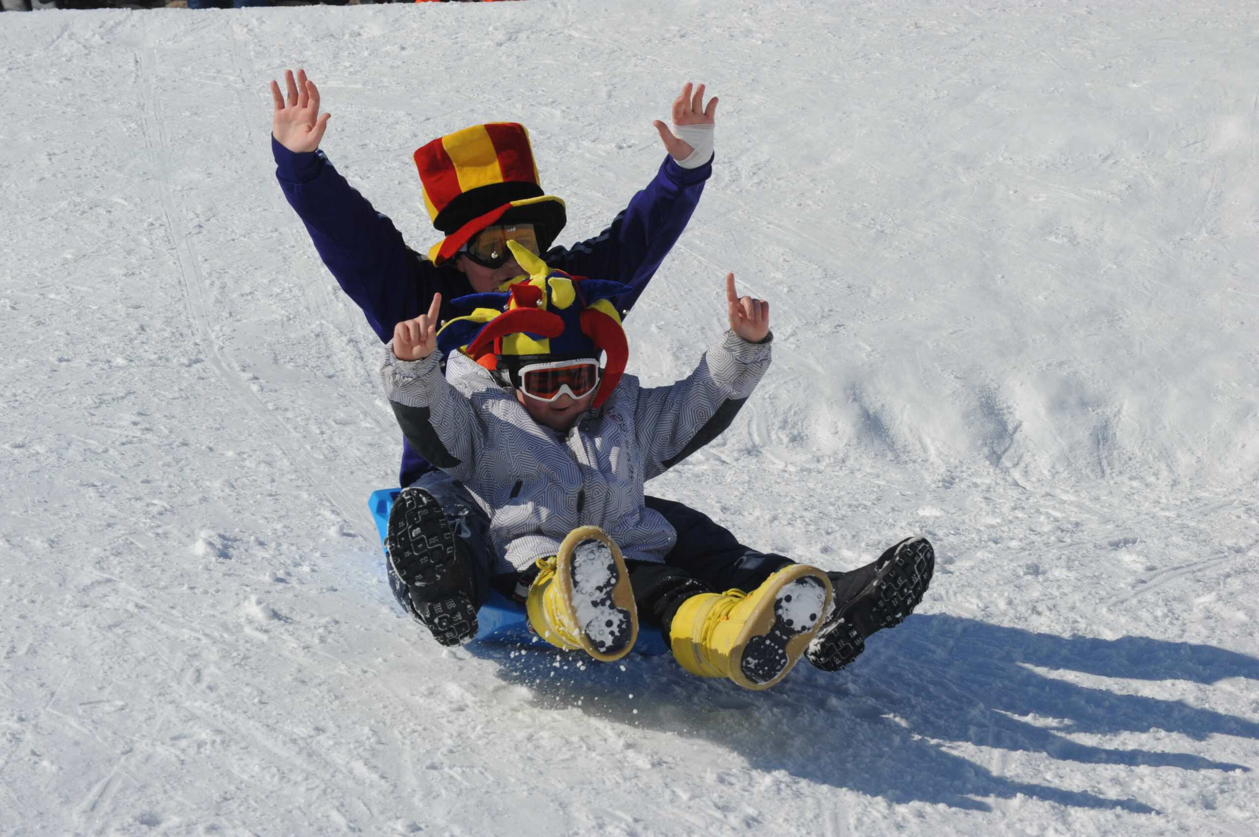 Luge