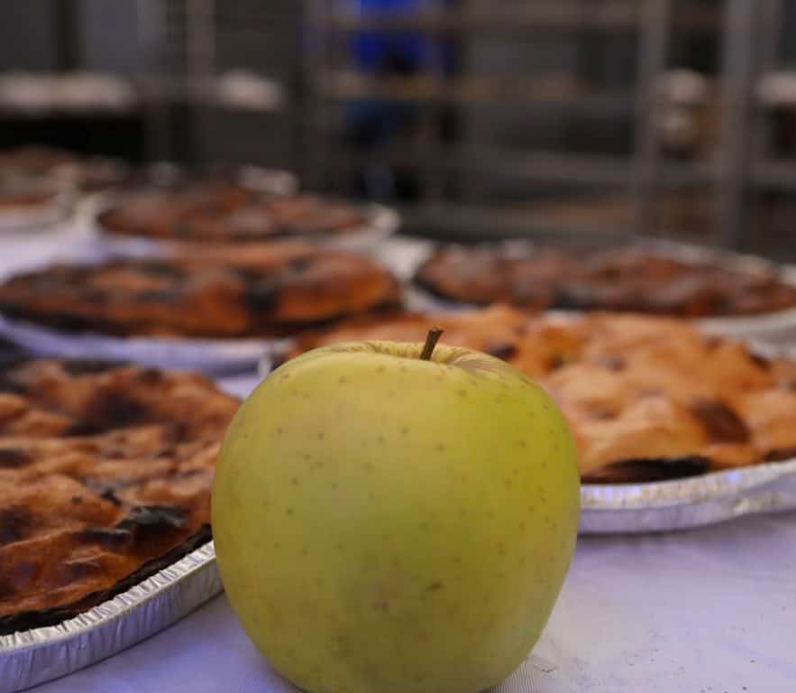 Foire aux pommes - Massiac