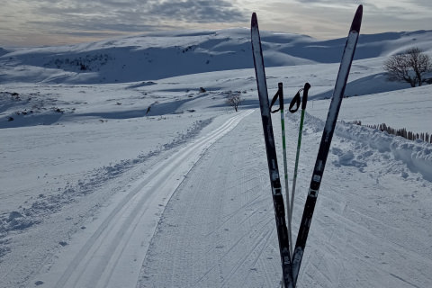 Cross-country and ski touring itineraries ON THE HAUTES TERRES