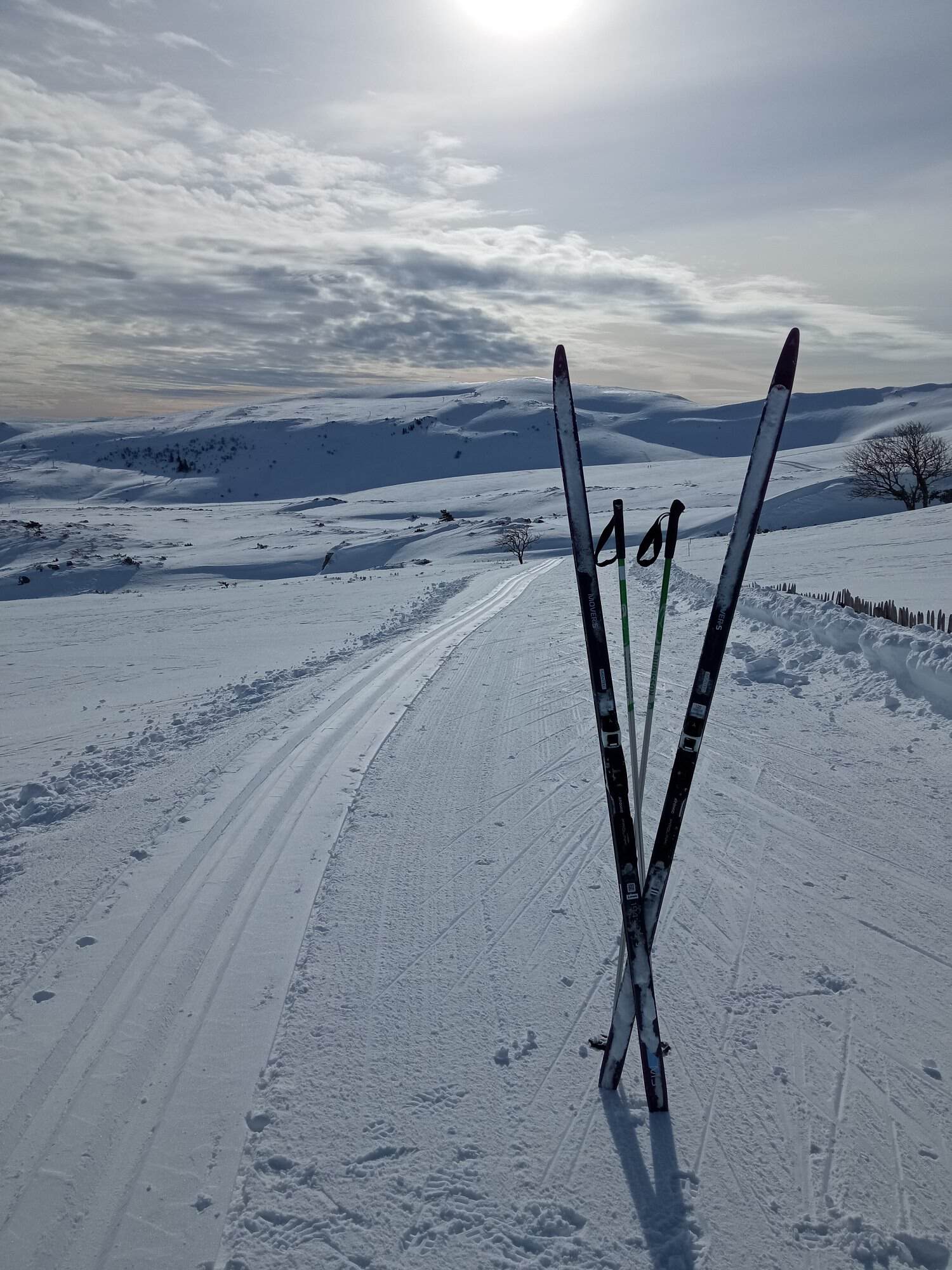 ski de fond