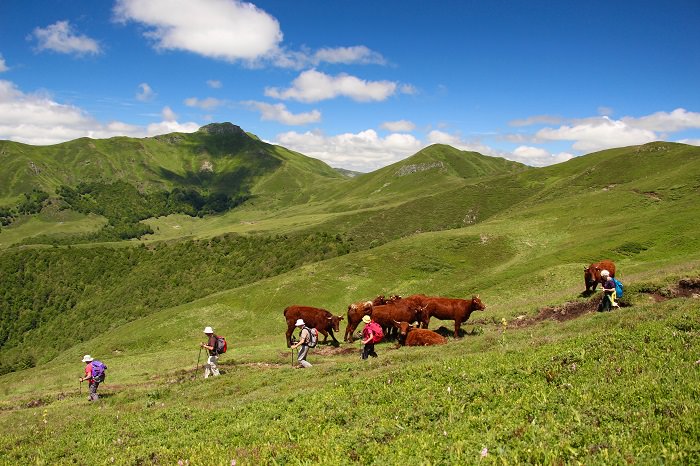 Escapade estivale pédestre dans le Cantal