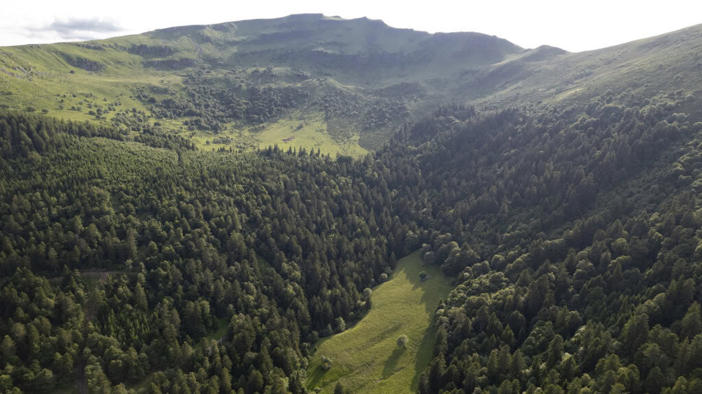 Vallée verdoyante entourée de montagnes dans les Hautes Terres.