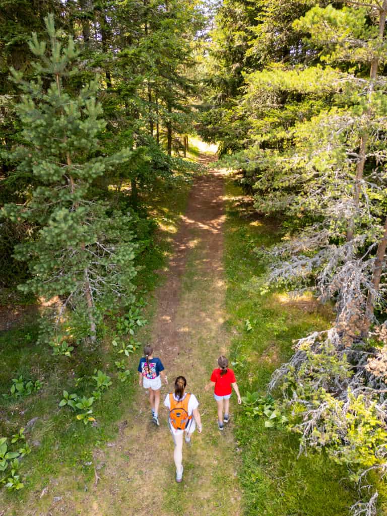 Randonnée dans la forêt des Hautes Terres Tourisme, Massif de la Pinatelle.