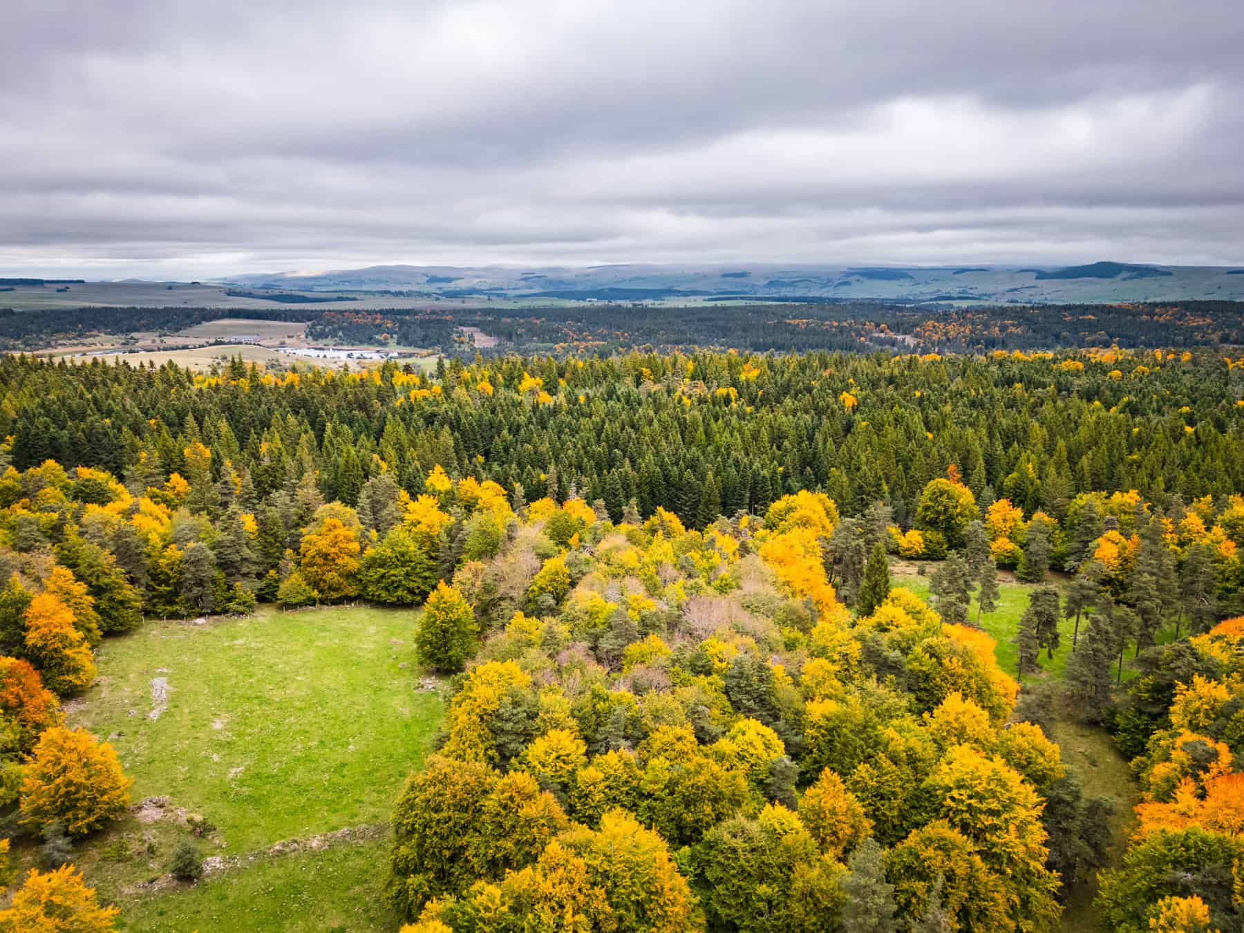 Paysage forestier aux couleurs d'automne dans les Hautes Terres.