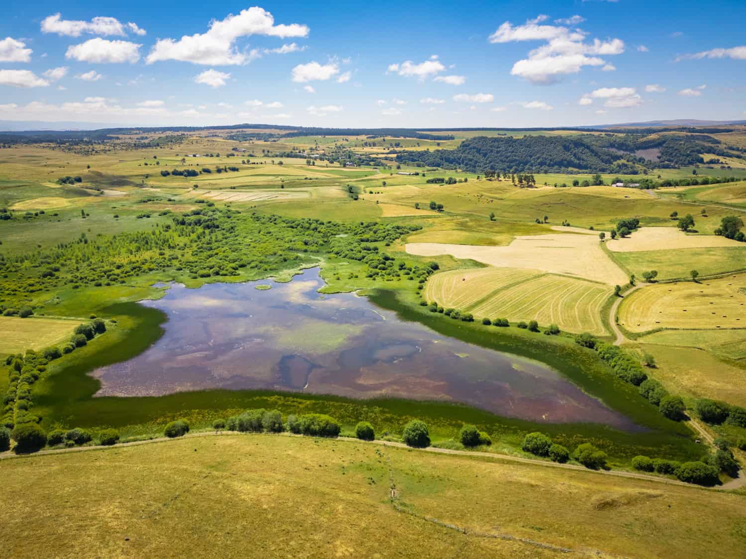 Paysage naturel avec étang, champs et collines sous un ciel bleu.